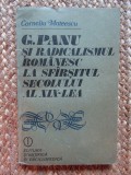 G.PANU SI RADICALISMUL ROMANESC LA SFARSITUL SECOLULUI AL XIX-LEA