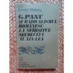 G.PANU SI RADICALISMUL ROMANESC LA SFARSITUL SECOLULUI AL XIX-LEA