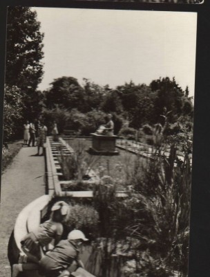 CPI B13639 CARTE POSTALA - CLUJ - GRADINA BOTANICA foto