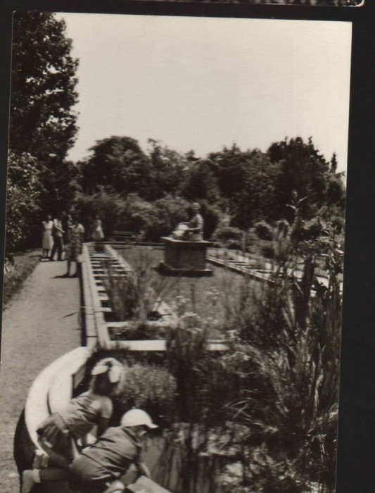 CPI B13639 CARTE POSTALA - CLUJ - GRADINA BOTANICA