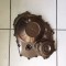 Capac Ambreiaj Honda CB650 CBR650 F/R 2014-2021