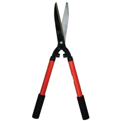 Forafeca gard viu 600-800mm, Topgarden, 382903 foto