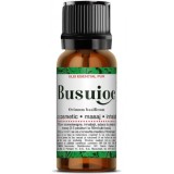 Ulei Esential de Busuioc Santo Raphael 10ml