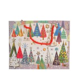 Punga de cadou cu braduti