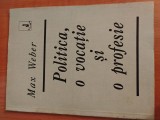 Politica, o vocație și o profesie