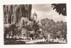 RF70 -Carte Postala- Radauti, vedere din parc, necirculata