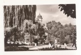 RF70 -Carte Postala- Radauti, vedere din parc, necirculata