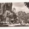 RF70 -Carte Postala- Radauti, vedere din parc, necirculata