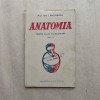 Gh. I. Niculescu - Anatomia - Pentru clasa III - 1924