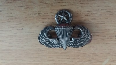 QW9 N 9 - insigna - militar - parasutism - trupe de forte speciale - cercetasi foto