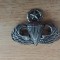 QW9 N 9 - insigna - militar - parasutism - trupe de forte speciale - cercetasi
