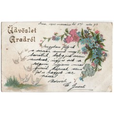 1900 - Arad, felicitare litho (jud.Arad)