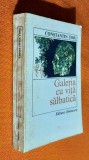 Galeria cu vita salbatica - Constantin Toiu 1979