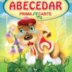 Abecedar. Prima mea carte - Hardcover - Petru Ghețoi - Casa Poveștilor