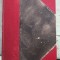 Fire de tort - George Cosbuc (editia a II-a)