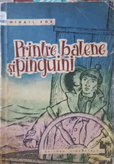 PRINTRE BALENE SI PINGUINI-MIHAIL POP foto