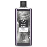 Lotiune nuantatoare pentru par Argintiu, 200ml, Delia Cosmetics