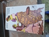 Prietenul nostru comun vintage
