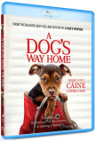 Drumul unui caine catre casa / A Dog&#039;s Way Home (Blu-Ray Disc) | Charles Martin Smith