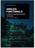 Analiza functionala. Matematicieni in transee - Pedro J. Miana, Natalia Romero