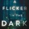 A Flicker in the Dark
