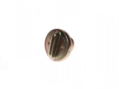 Buson rezervor benzina foto