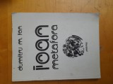 Dumitru M. Ion - Ioan Metafora