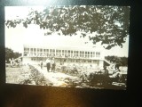 Ilustrata -Baile Amara - Cantina Restaurant -circulat 1963