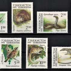 UZBEKISTAN 1993 - Fauna diversa /serie completa MNH