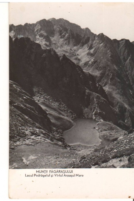 CPIB 22700 - CARTE POSTALA - MUNTII FAGARASULUI. LACUL PODRAGELUL SI VF ARPASUL