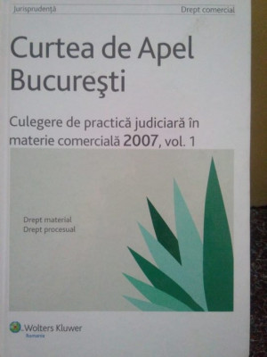 Dan Lupascu - Curtea de Apel Bucuresti (2009) foto