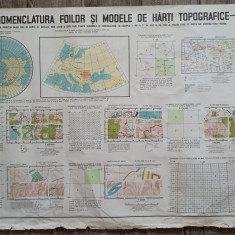 Nomenclatura foilor si modele de harti topografice// plansa didactica