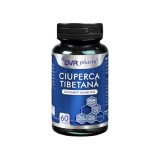 Ciuperca Tibetana, 60 capsule, DVR Pharm