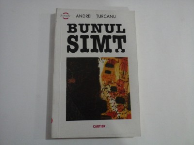 BUNUL SIMT - ANDREI TURCANU foto