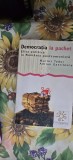 Democratia la pachet - Marius Tudor Adrian Gavrilescu - Carte Istorie