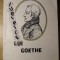 IUBIRILE LUI GOETHE-LEOPOLD STERN-223362