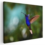Tablou pasare colibri in zbor albastru verde 1718 Tablou canvas pe panza CU RAMA 60x90 cm
