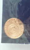 M3 I 20 - Insigna - tematica numismatica - Sectia Alexandria - 2018, Romania de la 1950