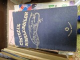 C&acirc;ntecul nibelungilor vintage