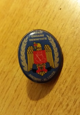 M3 N2 29 - insigna - militar - Asociatia rezervistilor militari - prindere pin foto