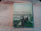 BALTAGUL - Mihail Sadoveanu - STEFAN CONSTANTINESCU (iIustratii) -1957, 141 p., 1956, Alta editura