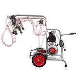 Cumpara ieftin Aparat de muls vaci cu 2 posturi si loc de 1 bidon