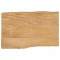 vidaXL Blat masă cu margini, 60x40x3,8 cm, lemn masiv mango 370728