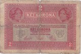 AUSTRIA UNGARIA 2 COROANE KRONEN 1917 STAMPILA REGIONALA UZATA