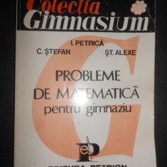 Ion Petrica - Probleme de matematica pentru gimnaziu (1993)