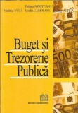 Cumpara ieftin Buget si trezorerie publica - Tatiana Mosteanu