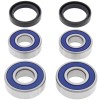 Kit Rulmenti roata Spate BMW Dakar F650 1999-2015 All Balls 25-1646