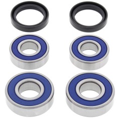 Kit Rulmenti roata Spate BMW Dakar F650 1999-2015 All Balls 25-1646