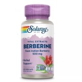 BERBERINE 500MG 60CPS VEGETALE, Secom