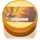 Kringle Candle Sugar Pumpkins lum&acirc;nare 42 g
